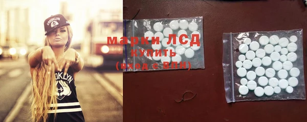 МДПВ Бородино