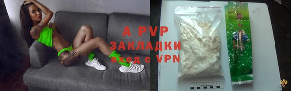 МДПВ Бородино