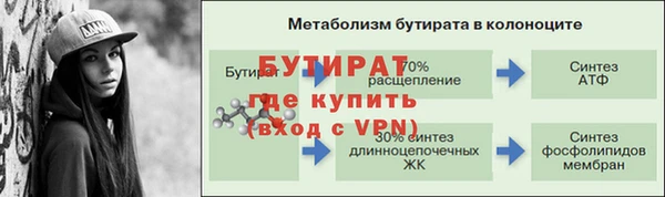 ECSTASY Богданович