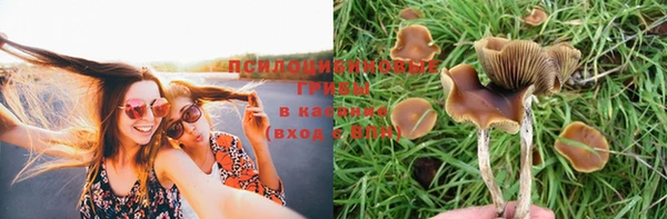 ECSTASY Богданович
