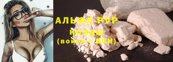 молекула духа Богородск
