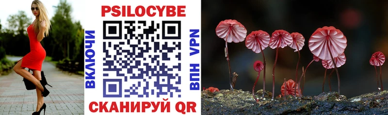 Купить закладки  Гороховец  Псилоцибиновые грибы ЛСД 